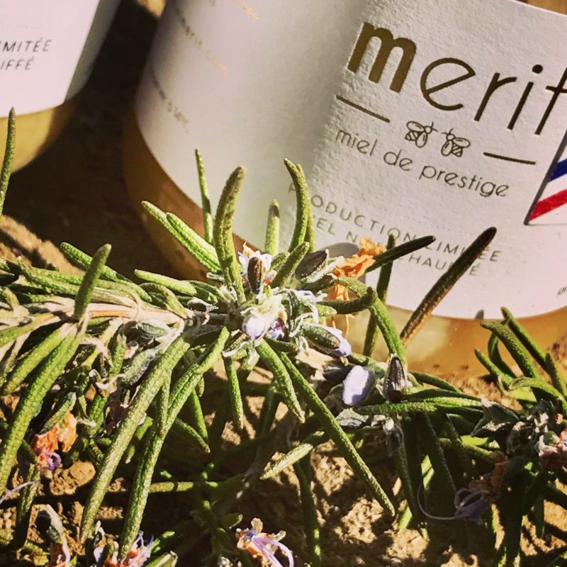 Miel de bruyère blanche de l'Hérault Merit 500g